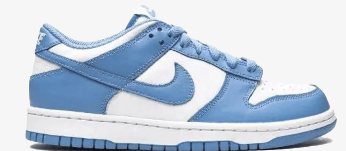 NIKE DUNK LOW  UNC