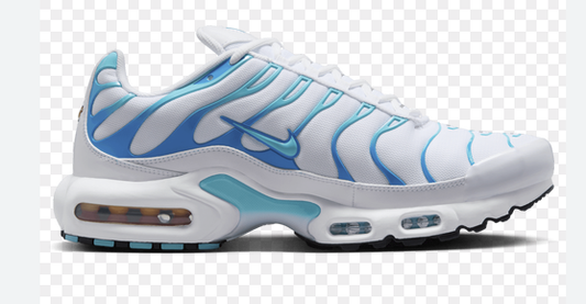 NIKE AIR MAX PLUS POLARIZED BLUE